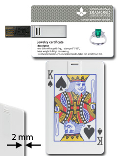 GEN-C02 USB Stick im Scheckkarten Format